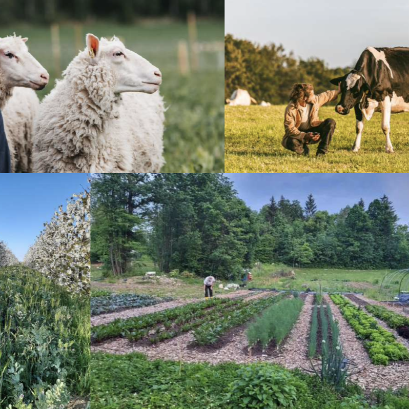 Bildschirmfoto 2023-12-19 um 16.12.45